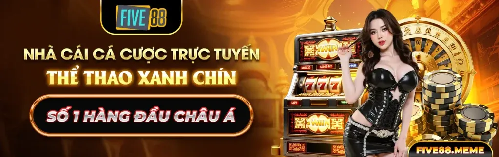 Hình ảnh chính về cá cược thể thao tại vnbet code