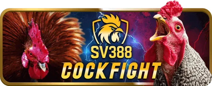 Đá gà nòi
