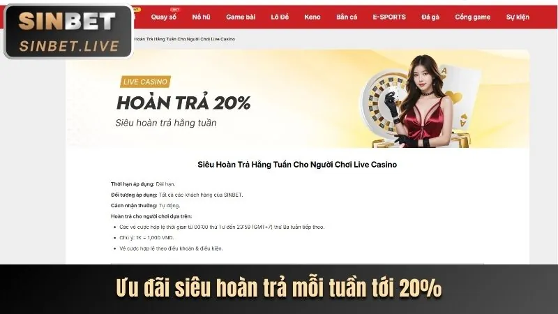 Khuyến mãi hoàn trả vnbet code